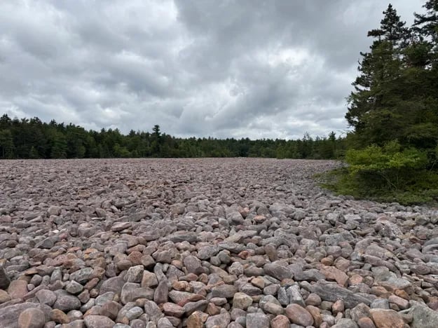 Field of rocks surrounded by trees