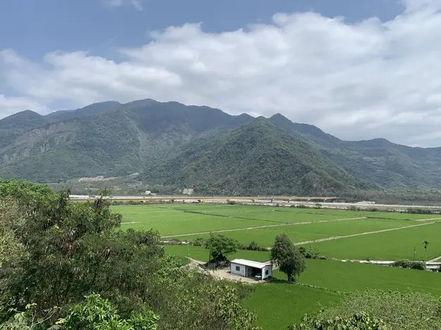 rice paddies with mountains in the background