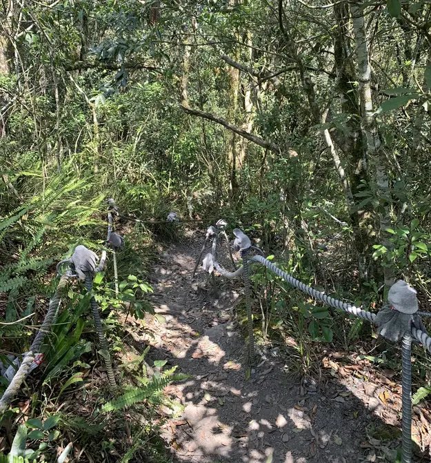 narrow trail with rope along the edge and gloves on metal spikes