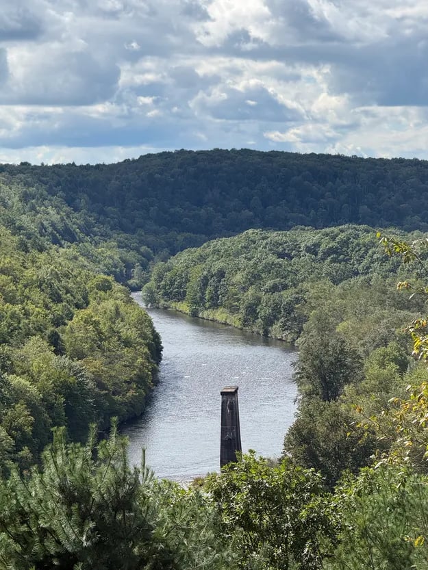 River running through forest